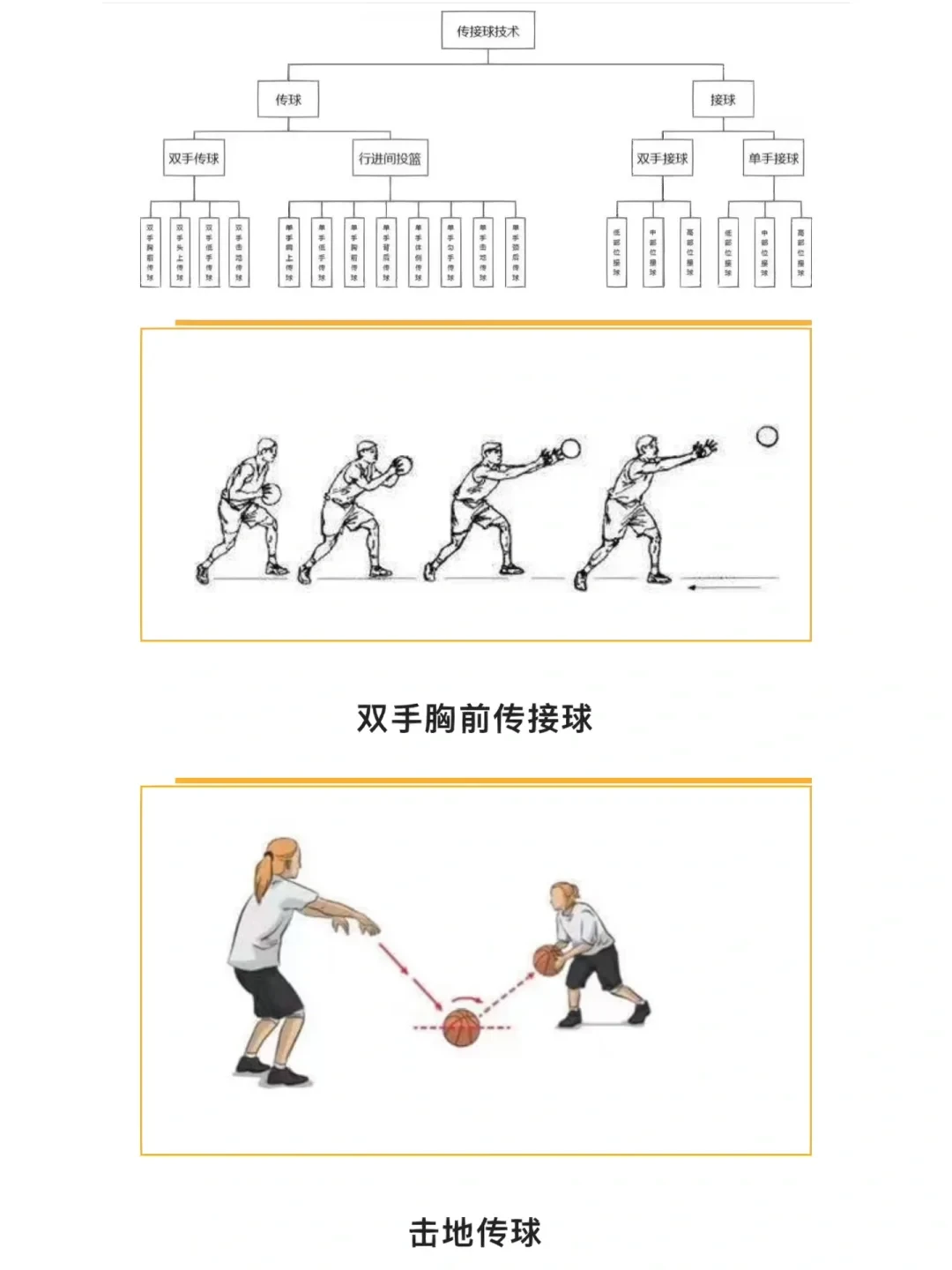 青少年篮球爱好者综合训练方案_0
